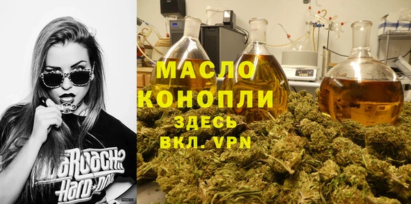тгк Абаза