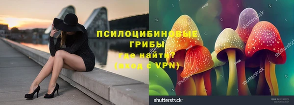 apvp Абинск