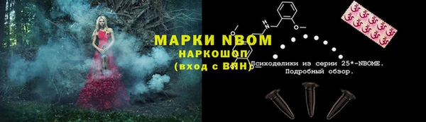 тгк Абаза
