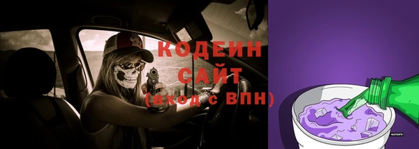 тгк Абаза