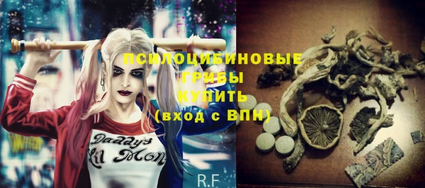тгк Абаза
