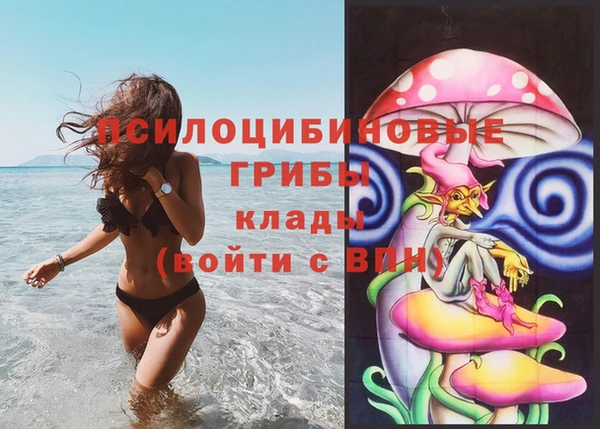 apvp Абинск