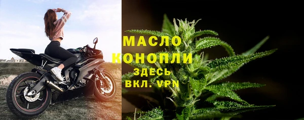 тгк Абаза